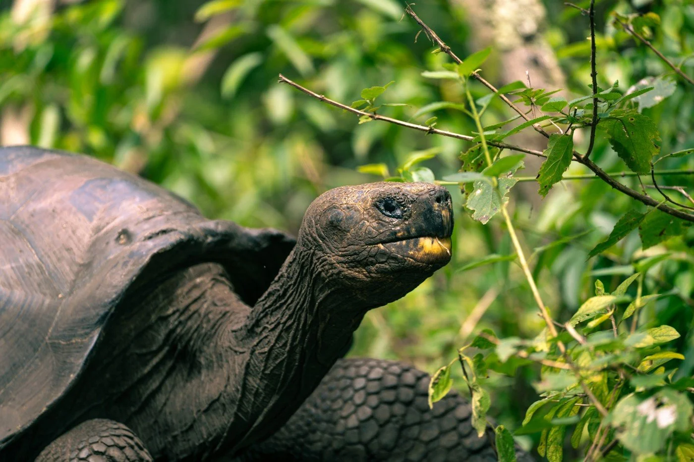 Galapagos_trip_by_carpe_diem_holistic (3).jpg