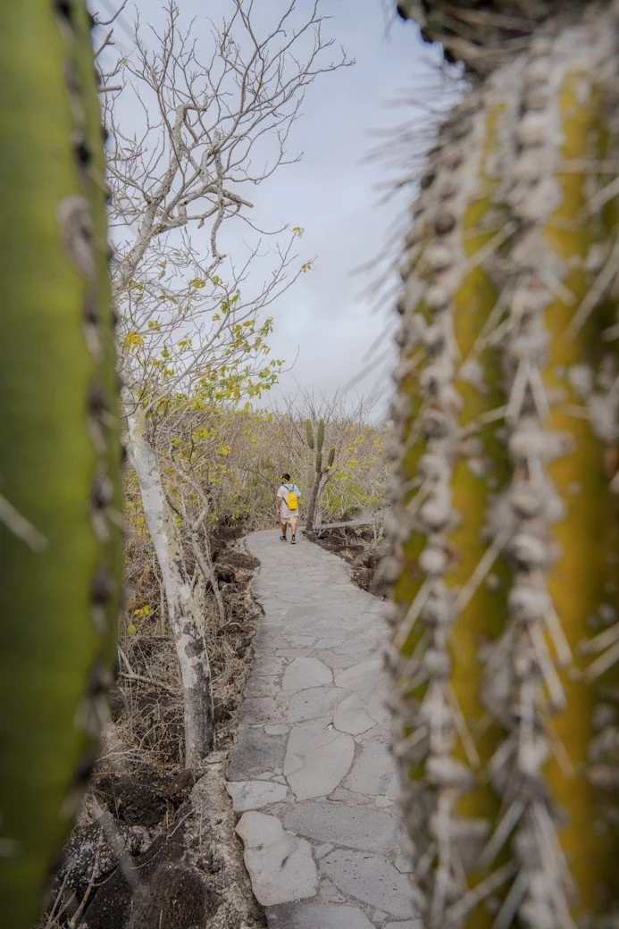 Galapagos_trip_by_carpe_diem_holistic (1).jpg