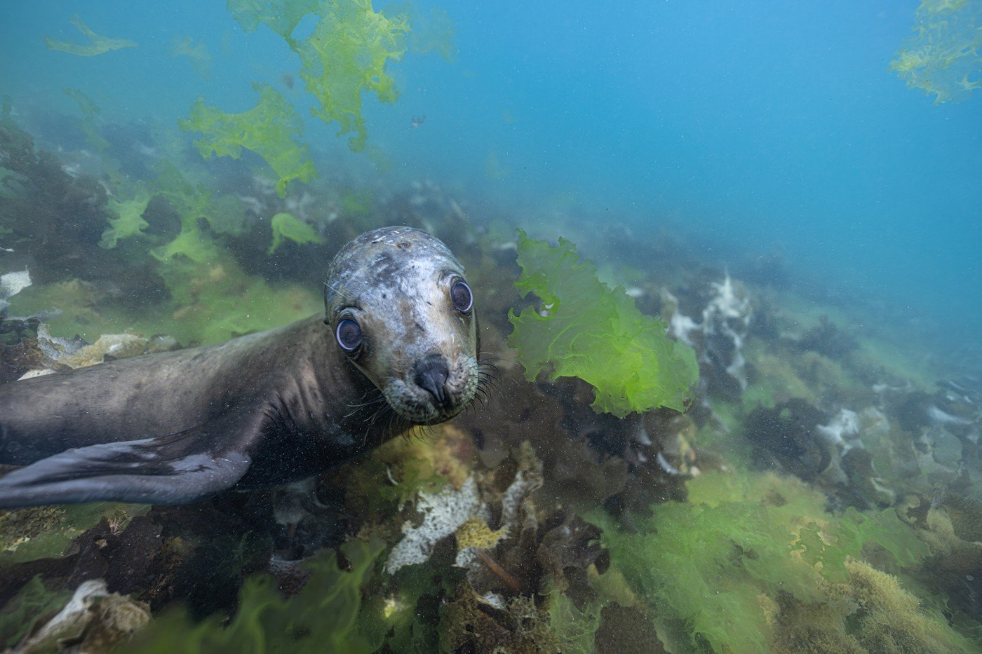Carpe_Diem_Holistic_Patagonia_trip_wildlife (8).jpg