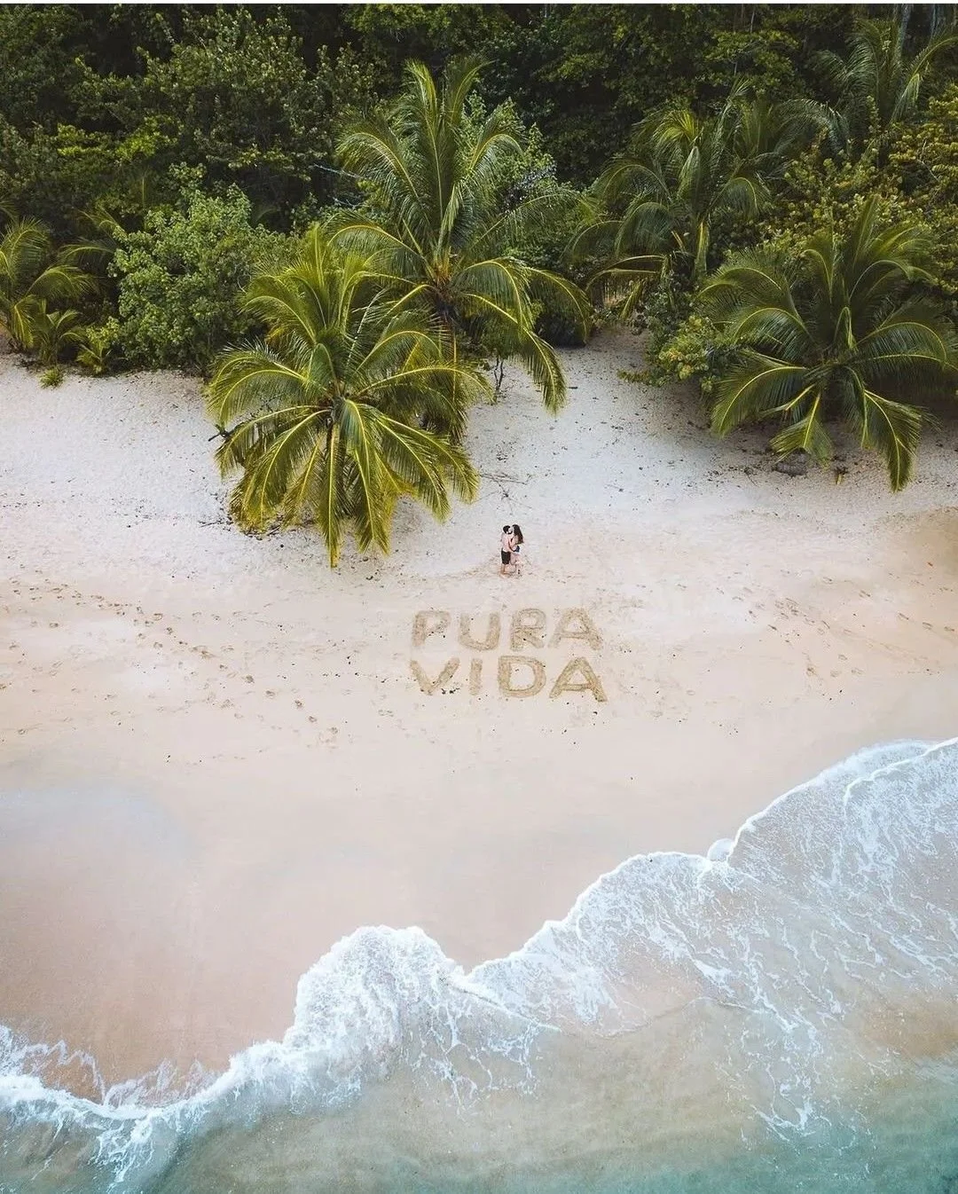 carpe diem holistic_2026_santa teresa.jpg