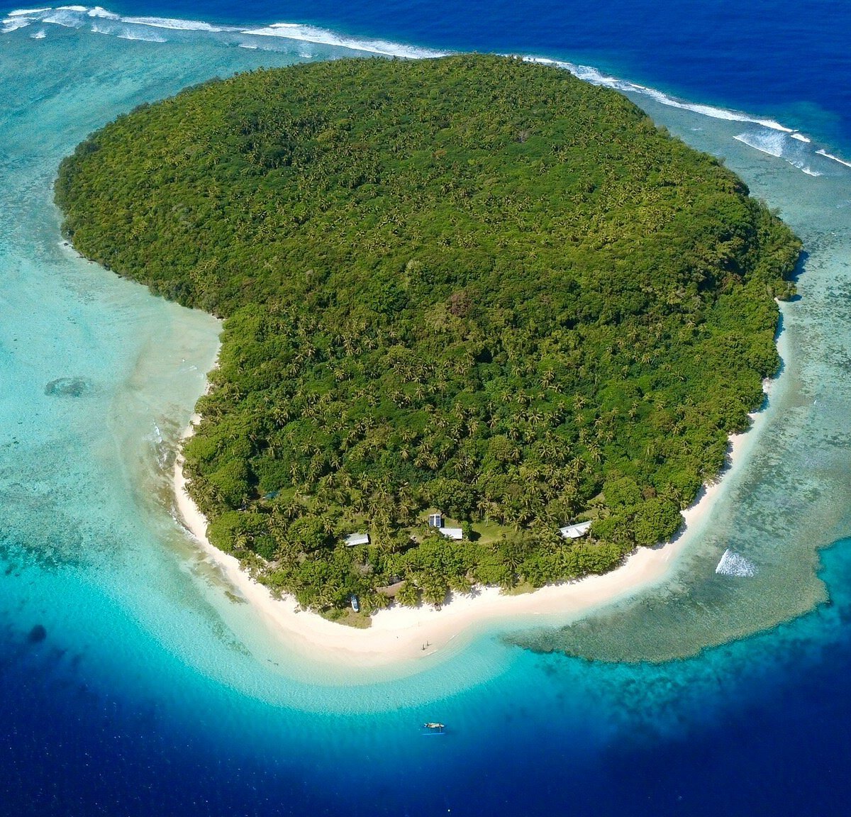 tonga_carpe diem holistic_2026heart osland.jpg