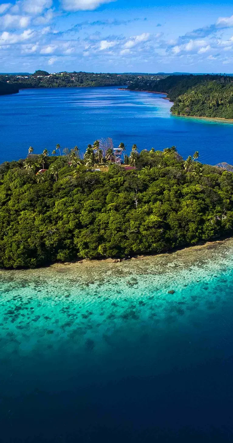 tonga islandjpg.webp