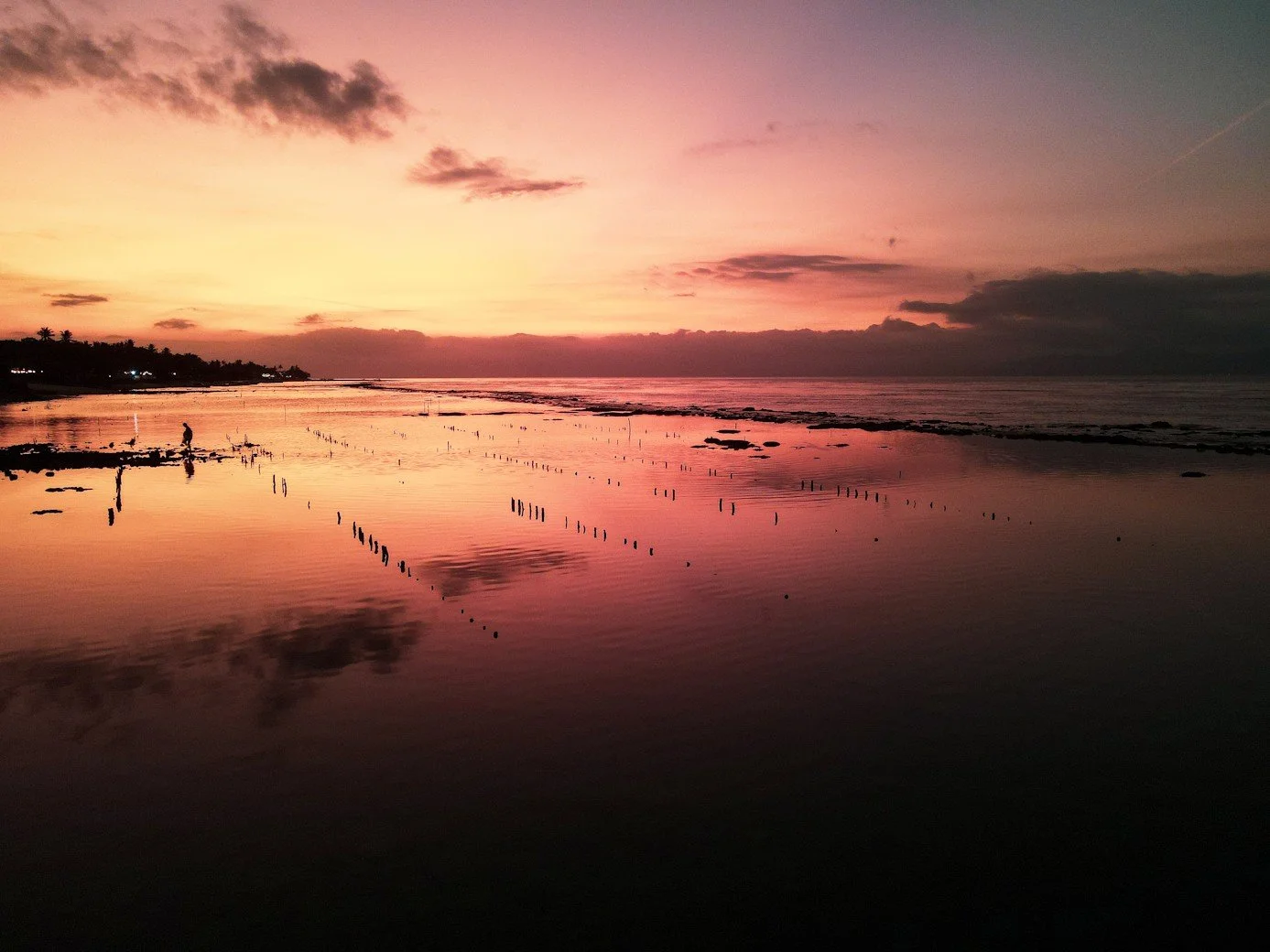 Bali_retreat_freediving_carpe_diem_holistic (17).jpg