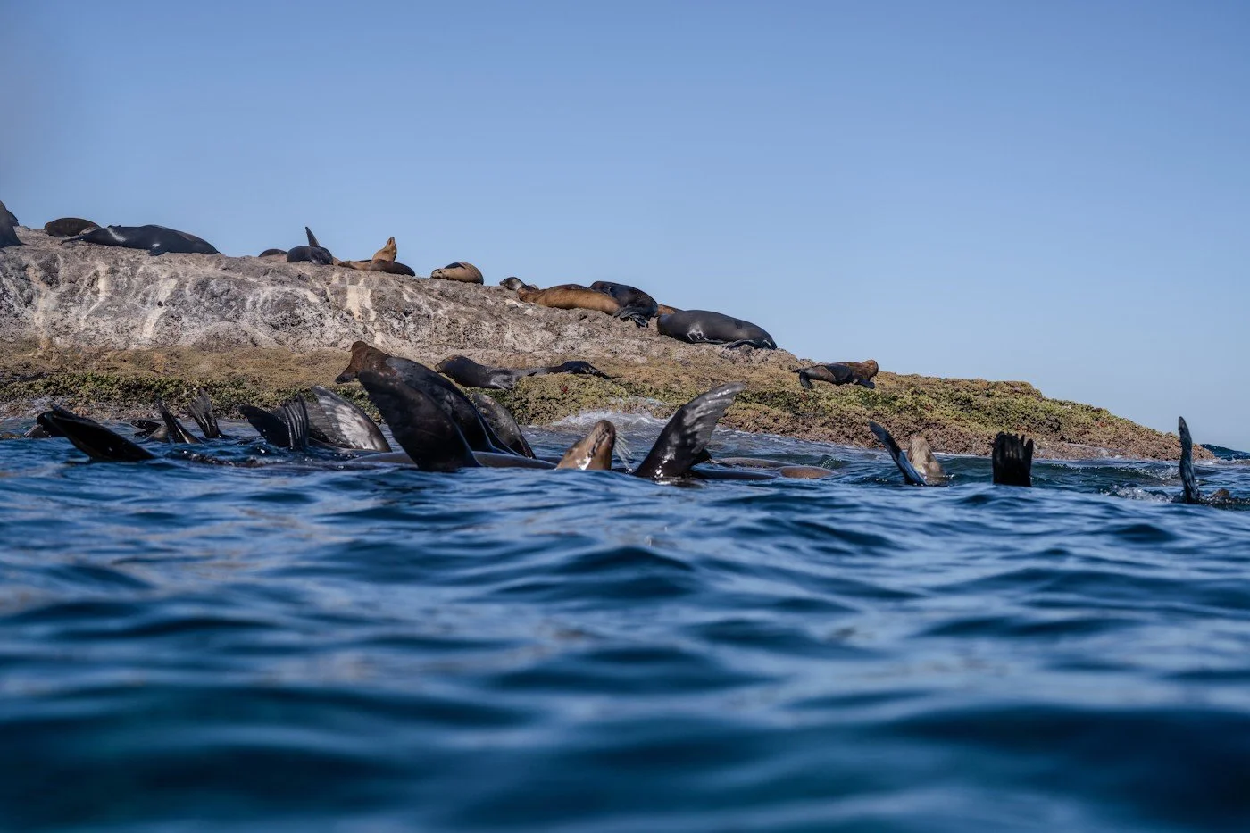 Baja_California_Sur_trip_carpe_diem_holistic (6).jpg