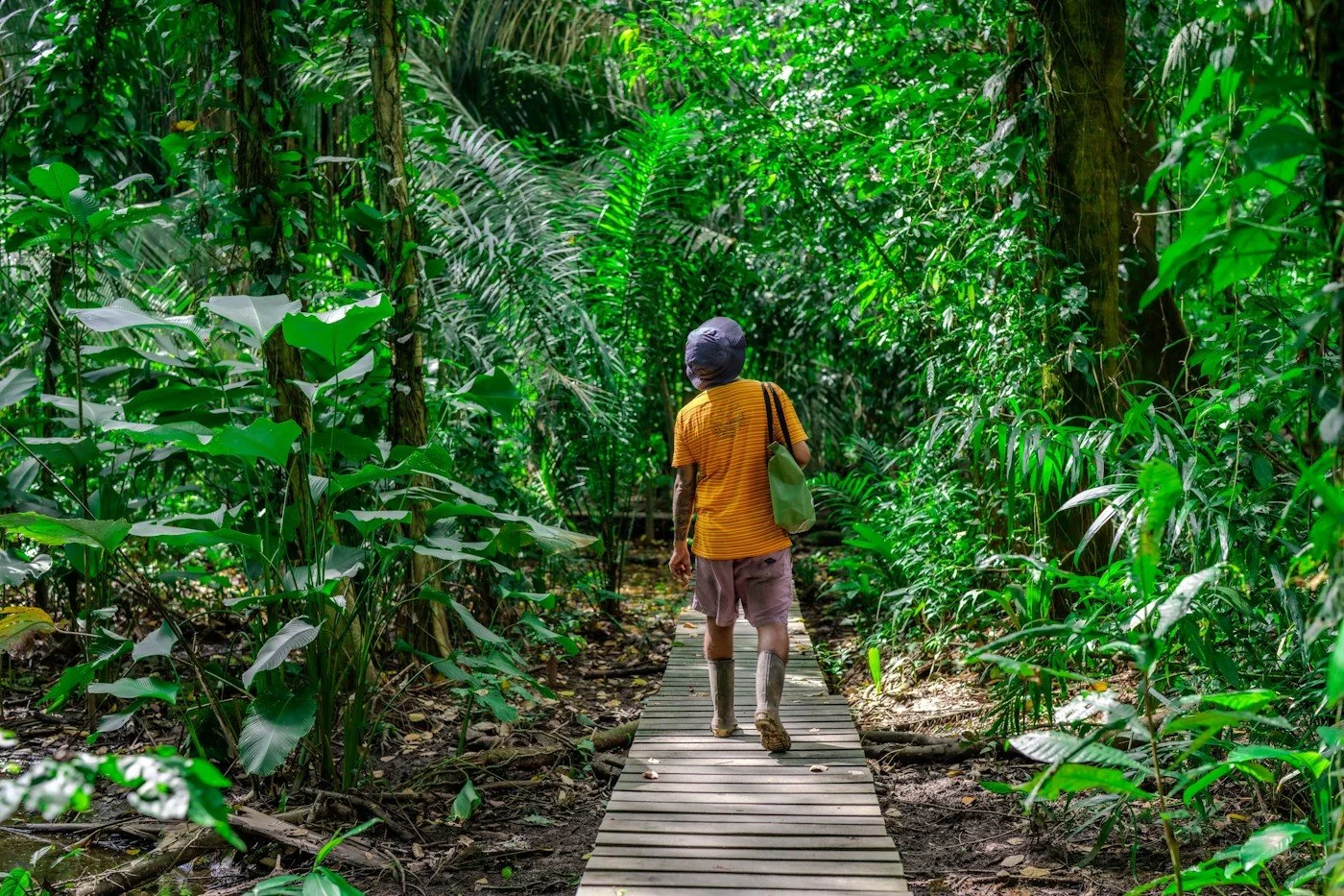 Our Upcoming Retreats &amp; Expeditions (2026–2027): Why We Chose These Places