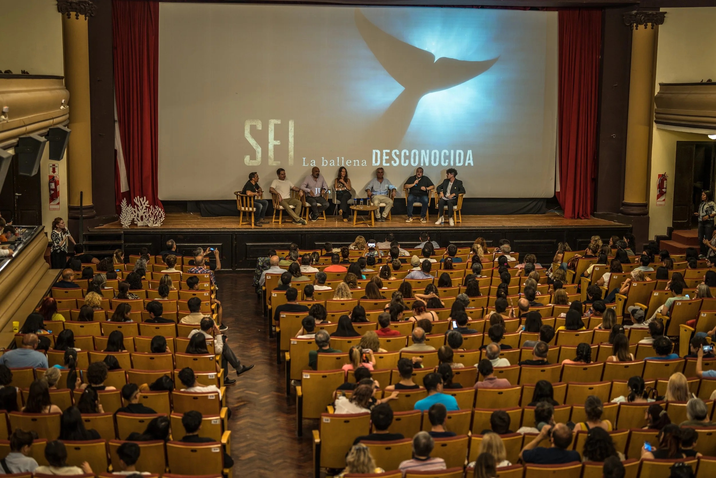 documentary launched Sei La ballena desconocida by Jumara Films and National Geographic Pristine Seas; photo taken by Carpe Diem Holistic during the documentary launch in Comodoro Rivadavia, Chubut