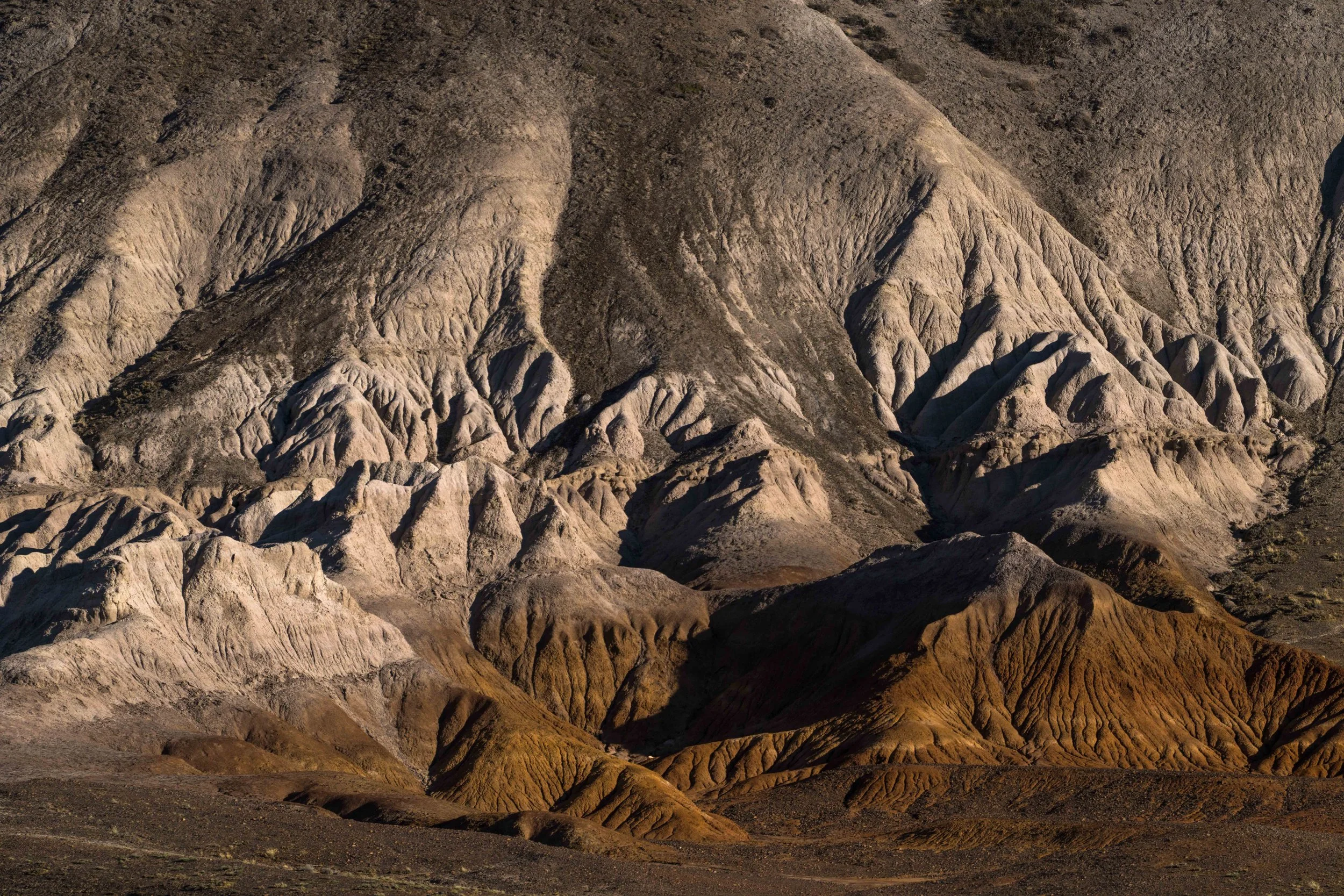 The typical meseta patagonica that has inspired our most recent art project "La Memoria de la Meseta"