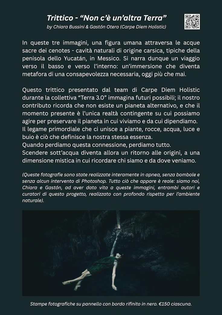 Carpe Diem Holistic Prints Series explanation