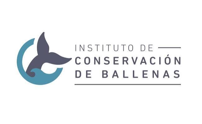 Carpe Diem Holistic ha colaborado con Instituto de Conservacion de Ballenas en proyectos de cuidado del ambiente (environmental conservation)