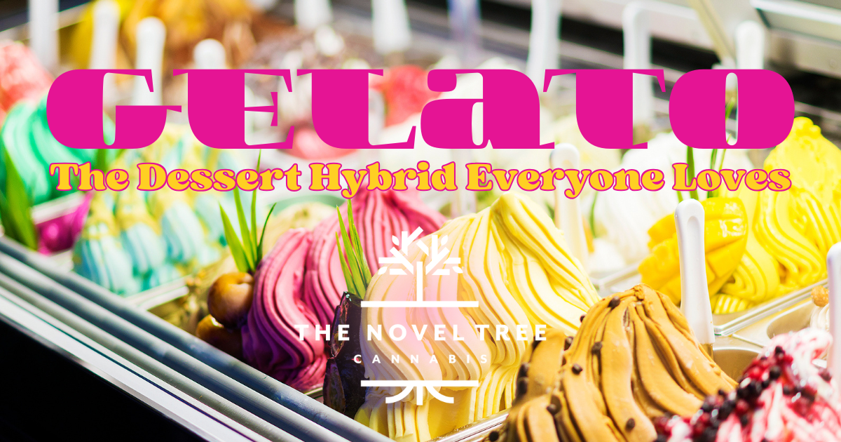 Gelato: The Dessert Hybrid Everyone Loves