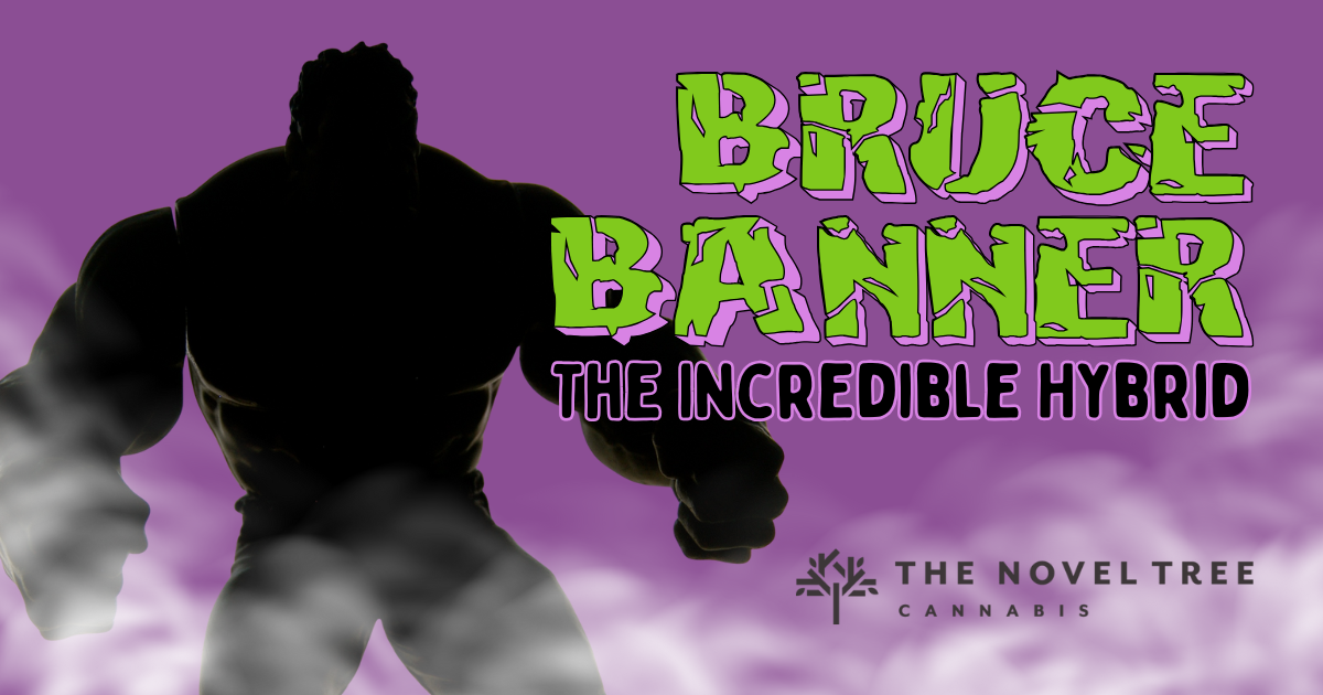 Bruce Banner: The Incredible Hybrid