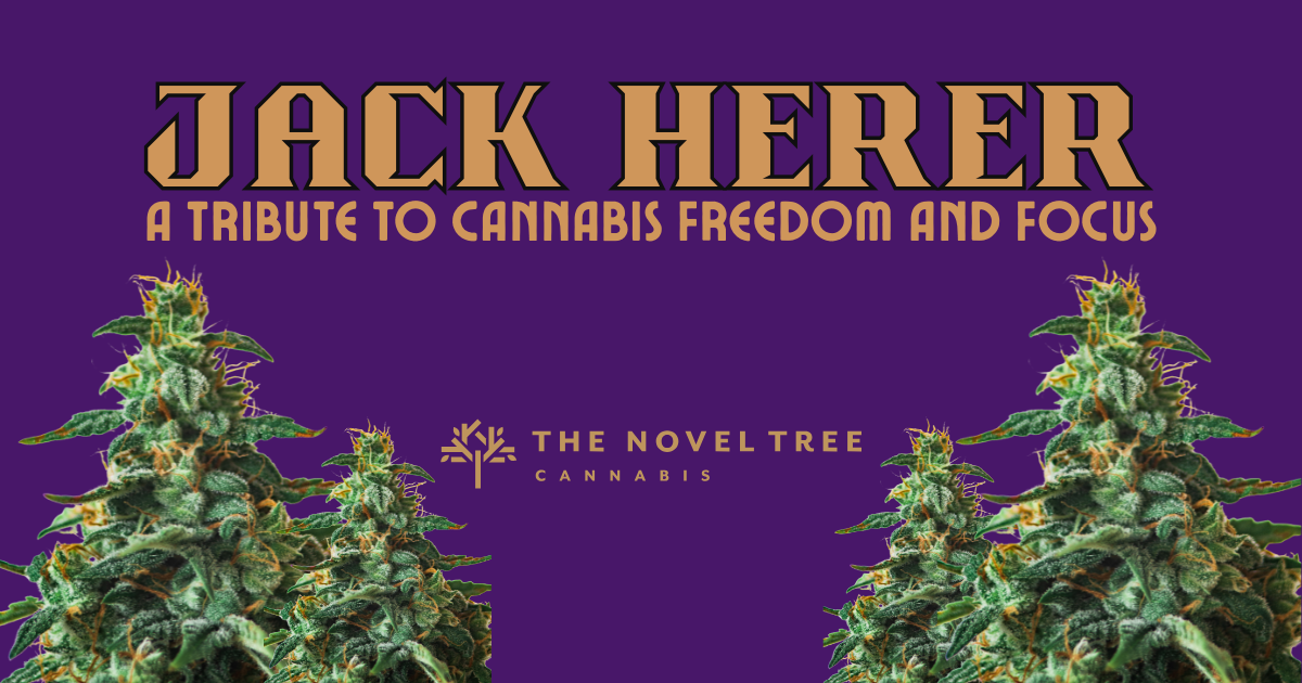 Jack Herer: A Tribute to Cannabis Freedom and Focus