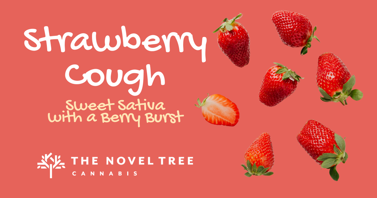 Strawberry Cough: Sweet Sativa with a Berry Burst