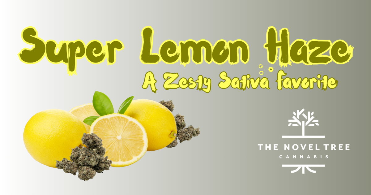 Super Lemon Haze: A Zesty Sativa Favorite