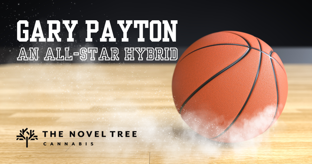 Gary Payton: The All-Star Hybrid