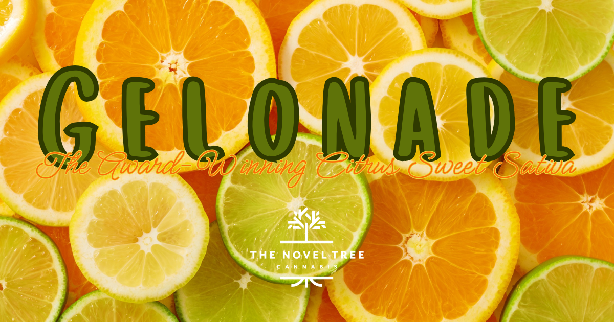 Gelonade: The Award-Winning Citrus Sweet Sativa