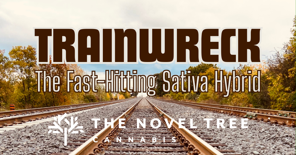 Trainwreck: The Fast-Hitting Sativa Hybrid