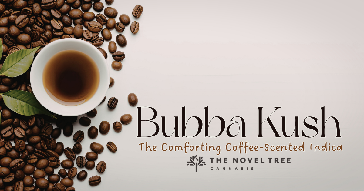 Bubba Kush: The Comforting Coffee-Scented Indica