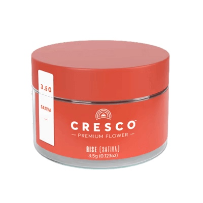 Image 6-10-23 at 9.14 PM.png