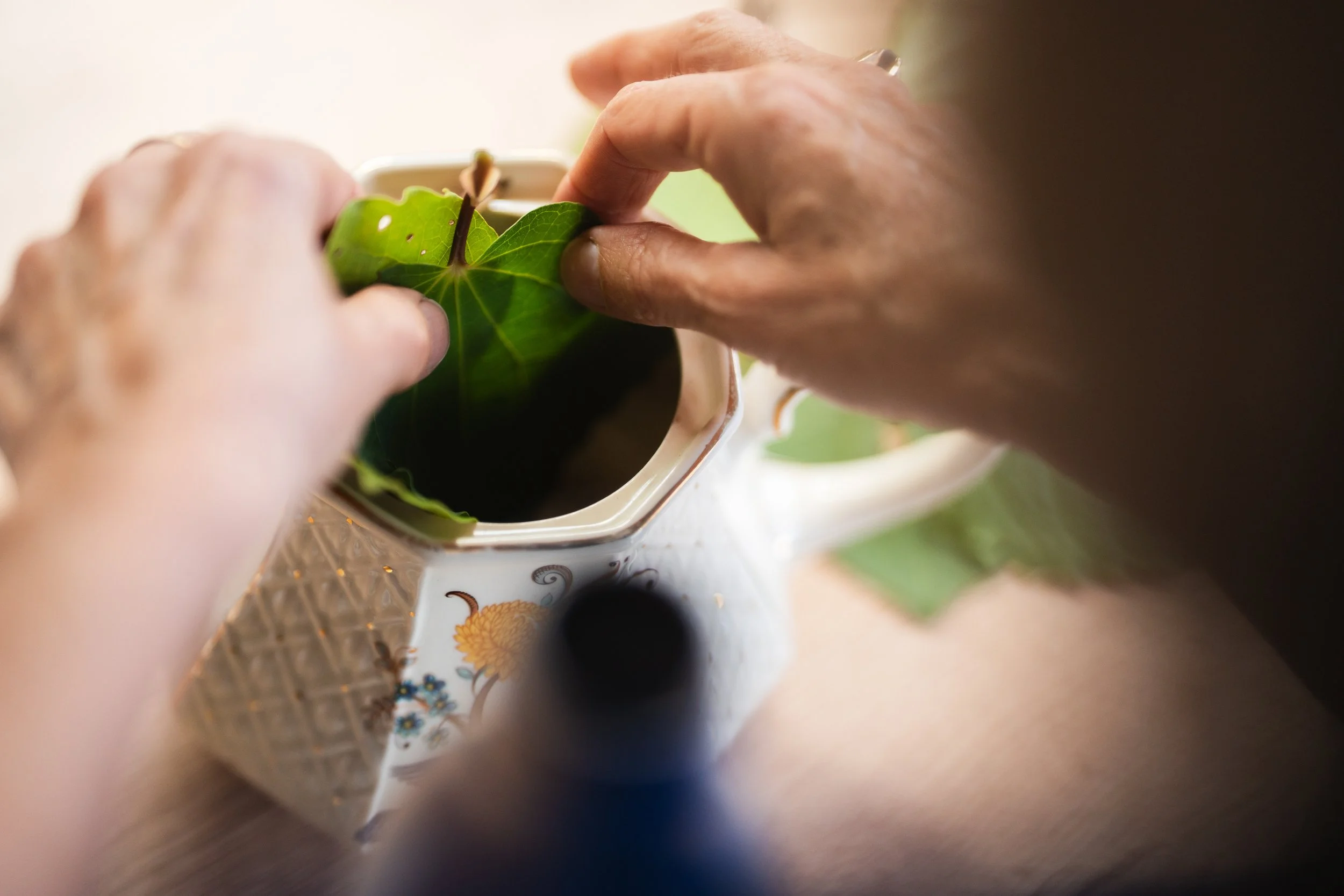 Four tips to promote a healthier life: