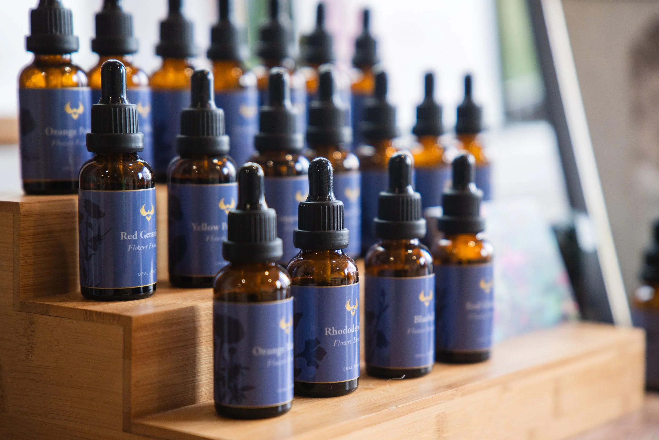 My journey with Flower Essences