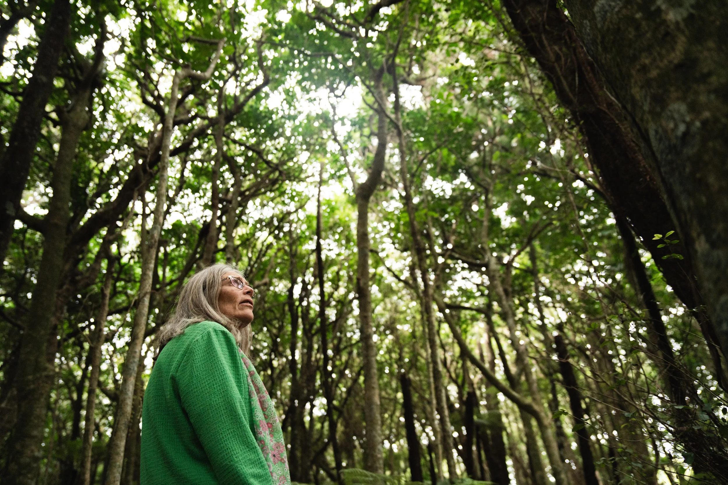 Connecting with your higher intelligence is easier when you are in nature or relaxed.