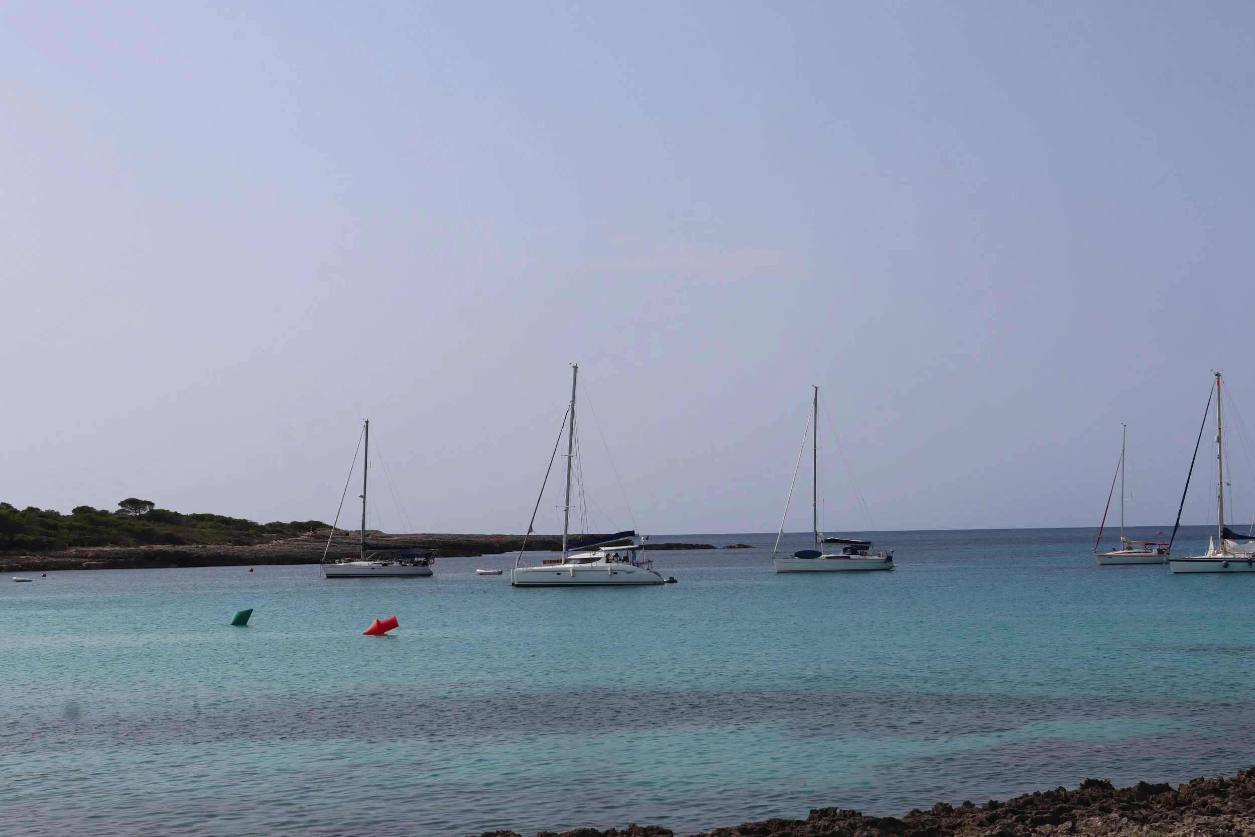 IMG_5932.JPG