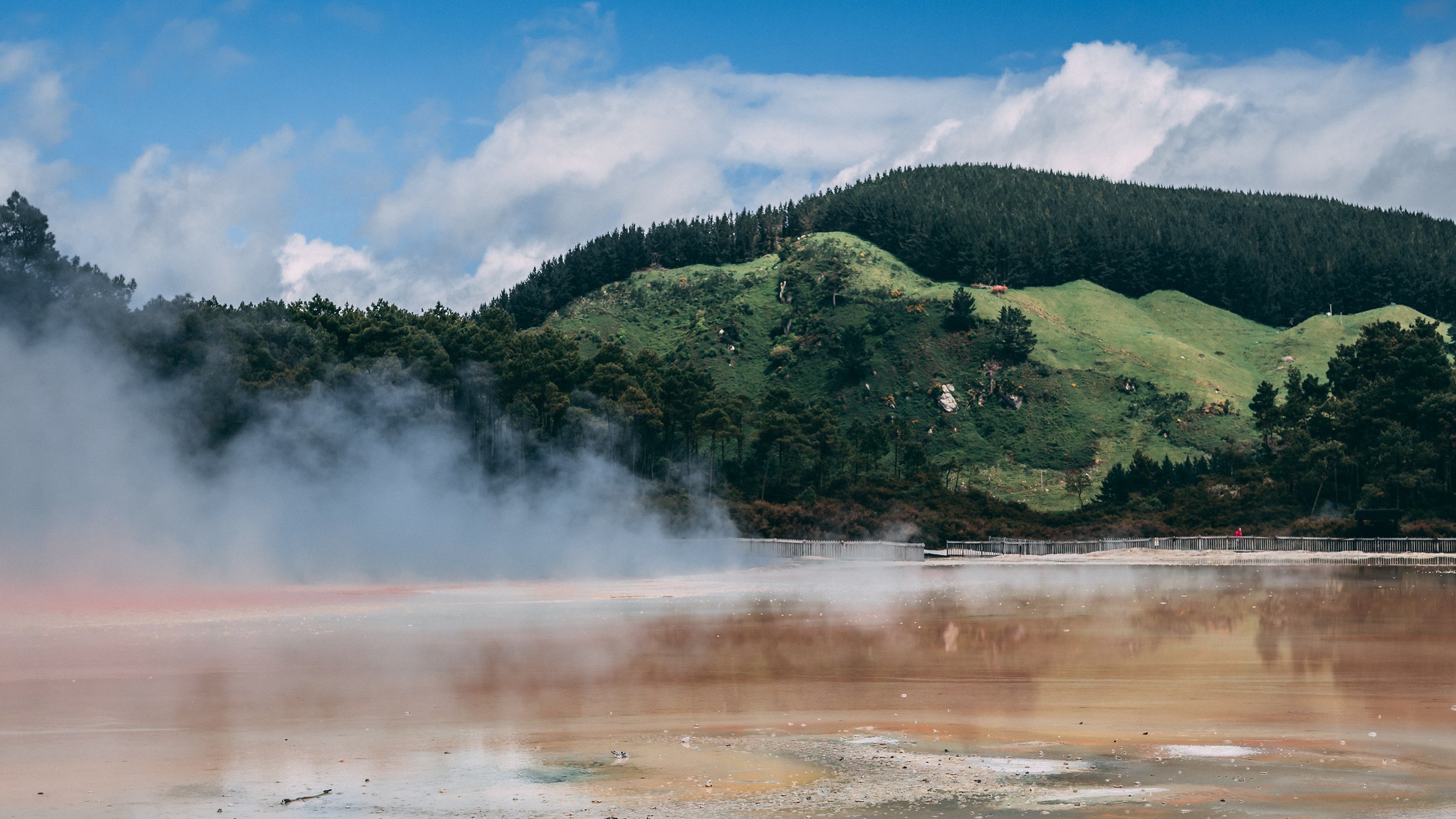 NZ3.jpg