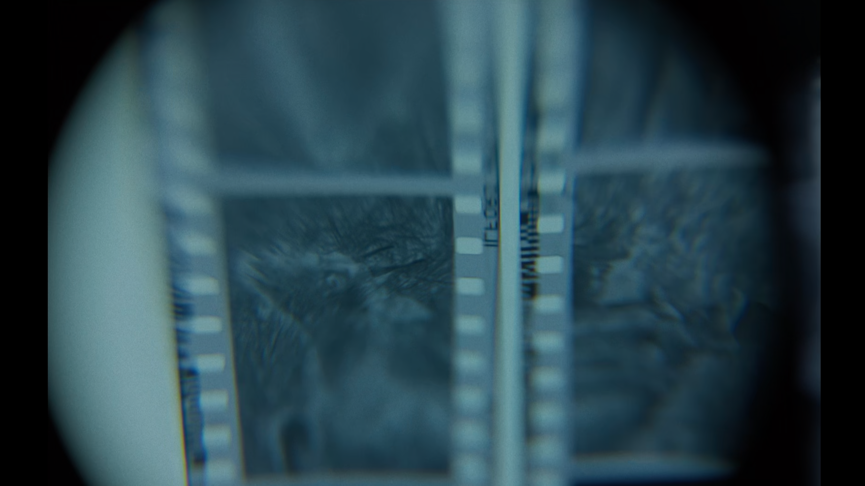 SELECTS_01_27_41_08.png