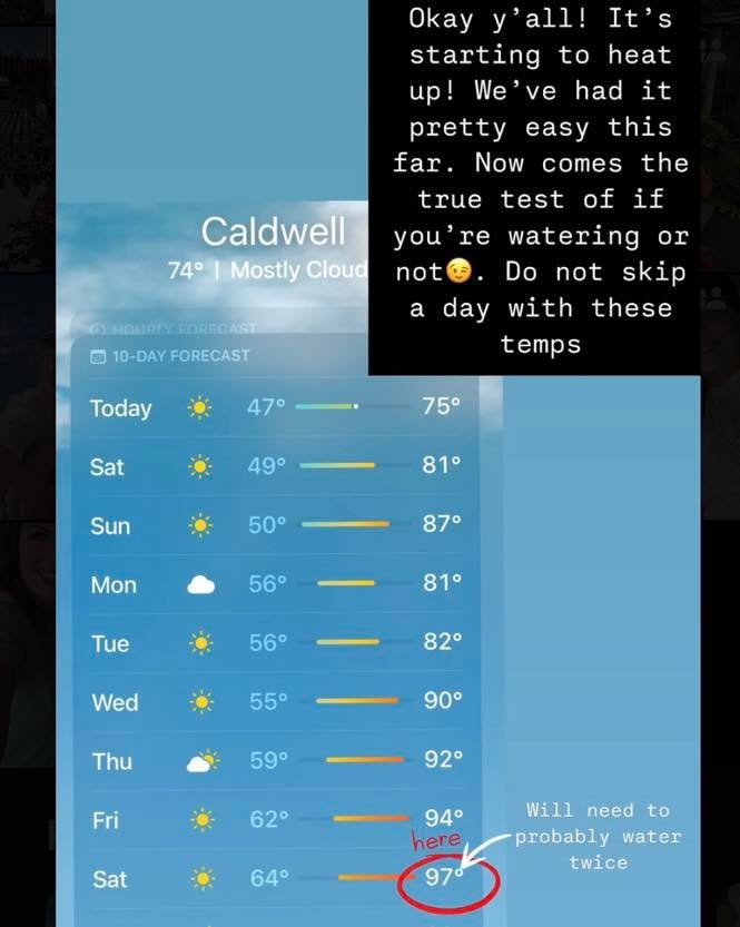 For those of you that don&rsquo;t look at our stories I want to make sure you see this!! The temps are really heating up this week. DON&rsquo;T FORGET TO WATER! Next Saturday will be bumping. 100&deg;😳, you will probably need to water twice (morning