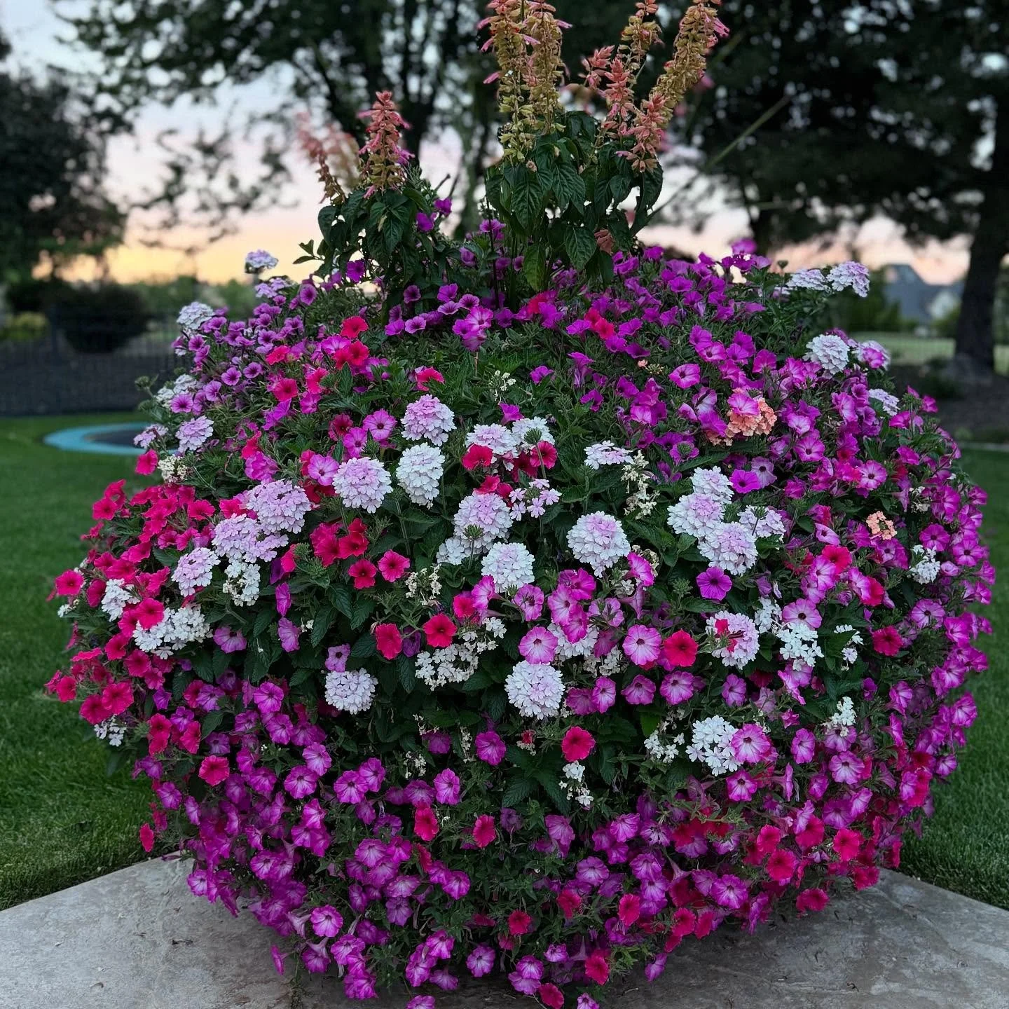 CONTEST TIME!!!!! 
WHAT: private message me here on IG or FB with your favorite picture of your favorite container, it HAS to be from us. 
WHEN: this week. Contest will end next Friday. If you already sent me a picture, you have to send your favorite