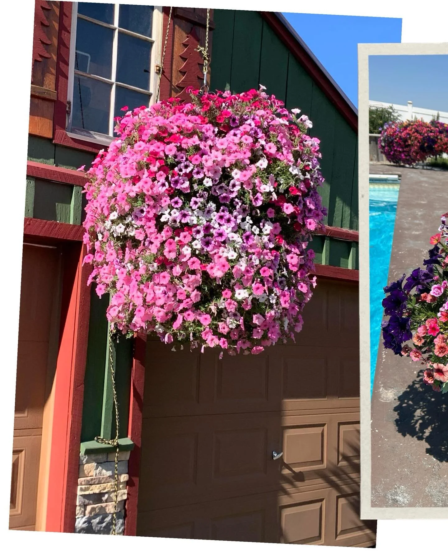 While everyone is thinking about winter&hellip;..we are over here getting ready for spring and summer!!! We can&rsquo;t wait to get started planting, counting down the days now!