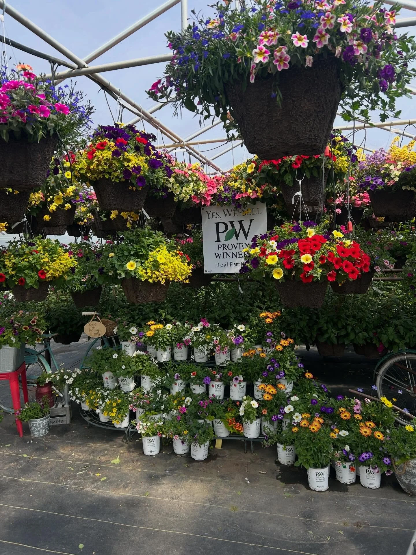What do we have to offer? Over 2,000 hanging baskets and containers to choose from, specialty items, bedding plants, and combos you won&rsquo;t see anywhere else. 
We pride ourselves in using the perfect soil blend that we have perfected throughout t