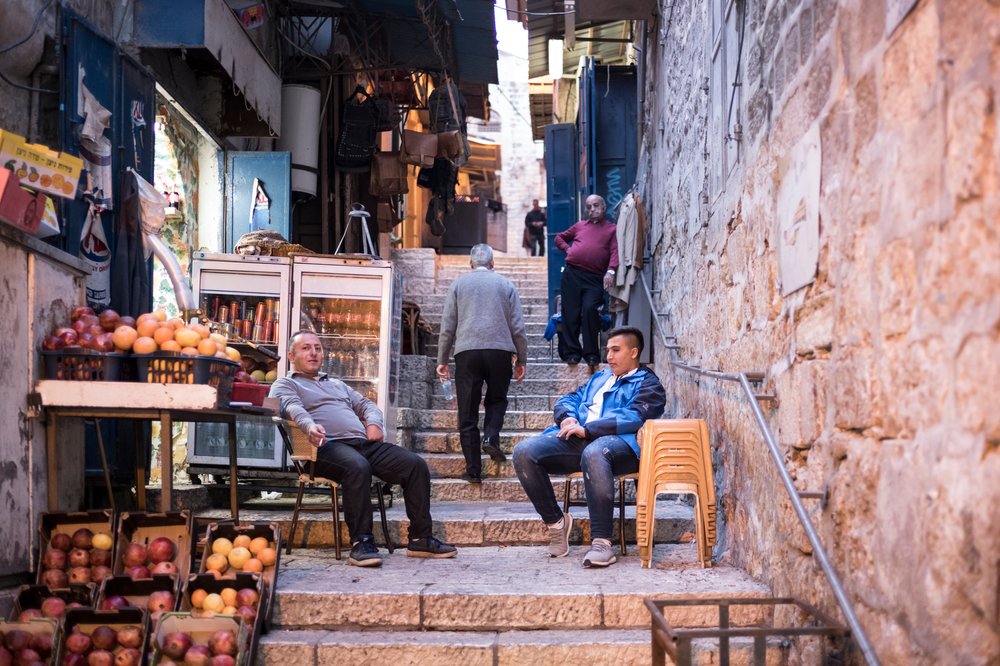 Institute for Social and Economic Progress