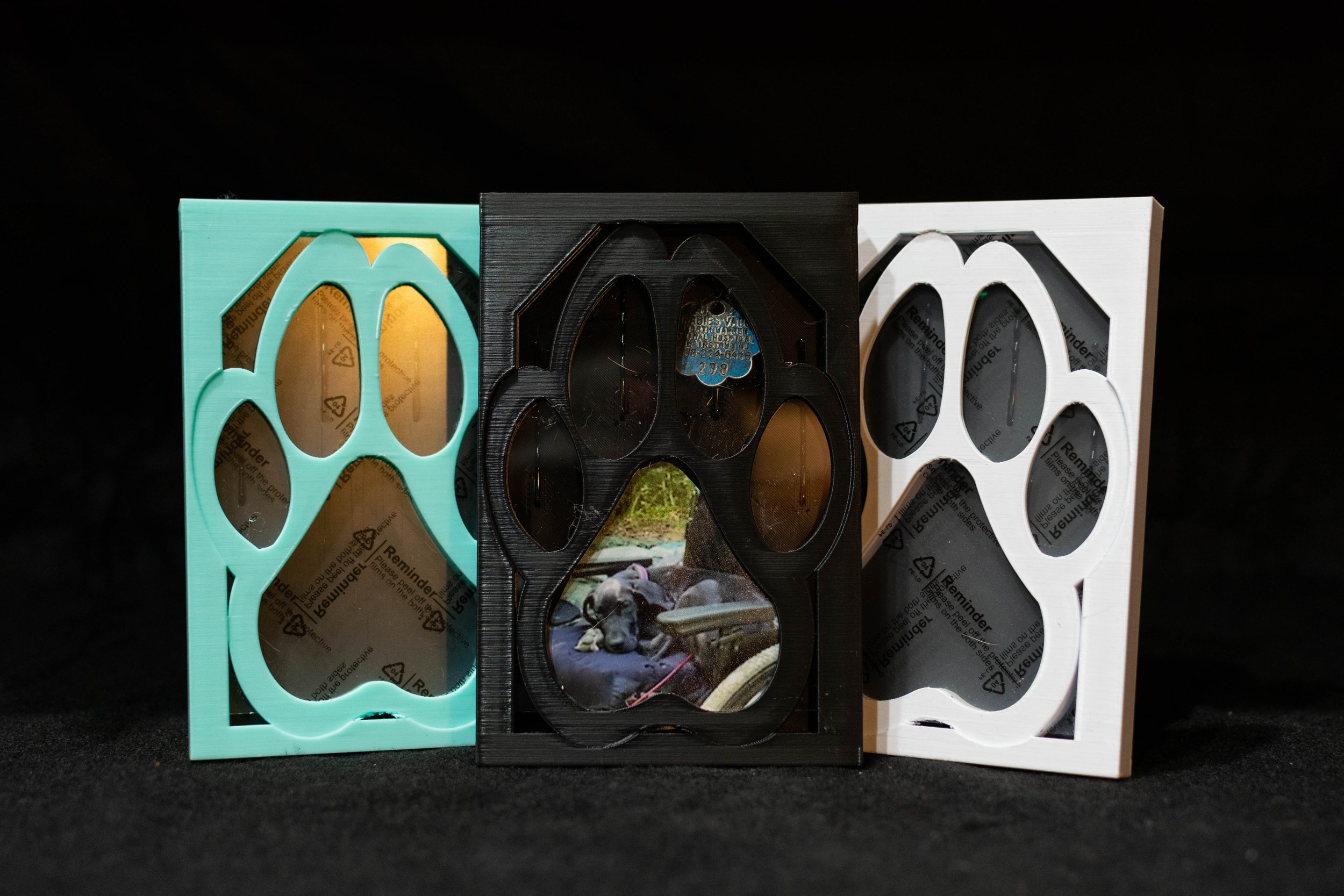 PawPrint Picture Frame w: Shadox Box Colors.jpg