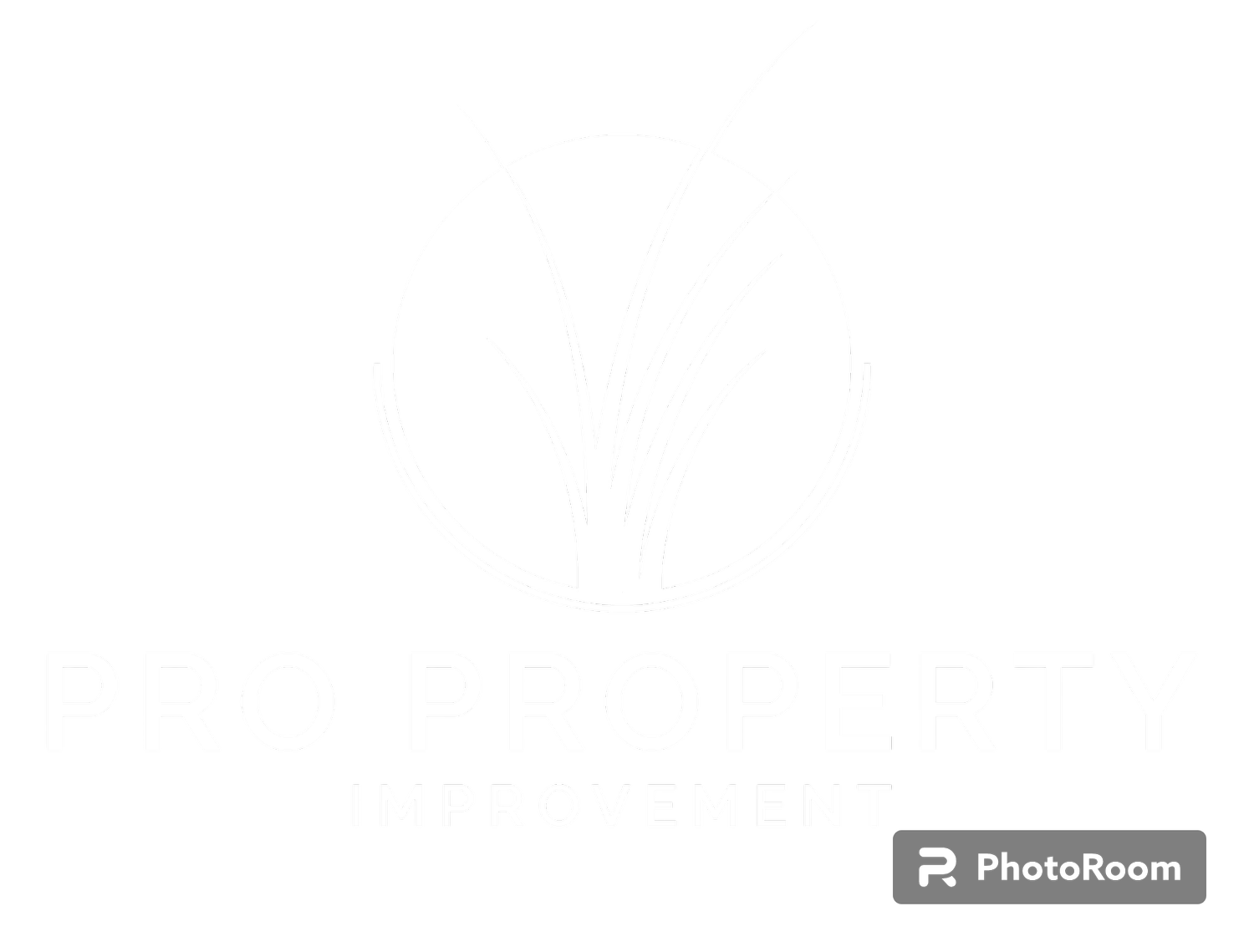 Pro Property Improvement