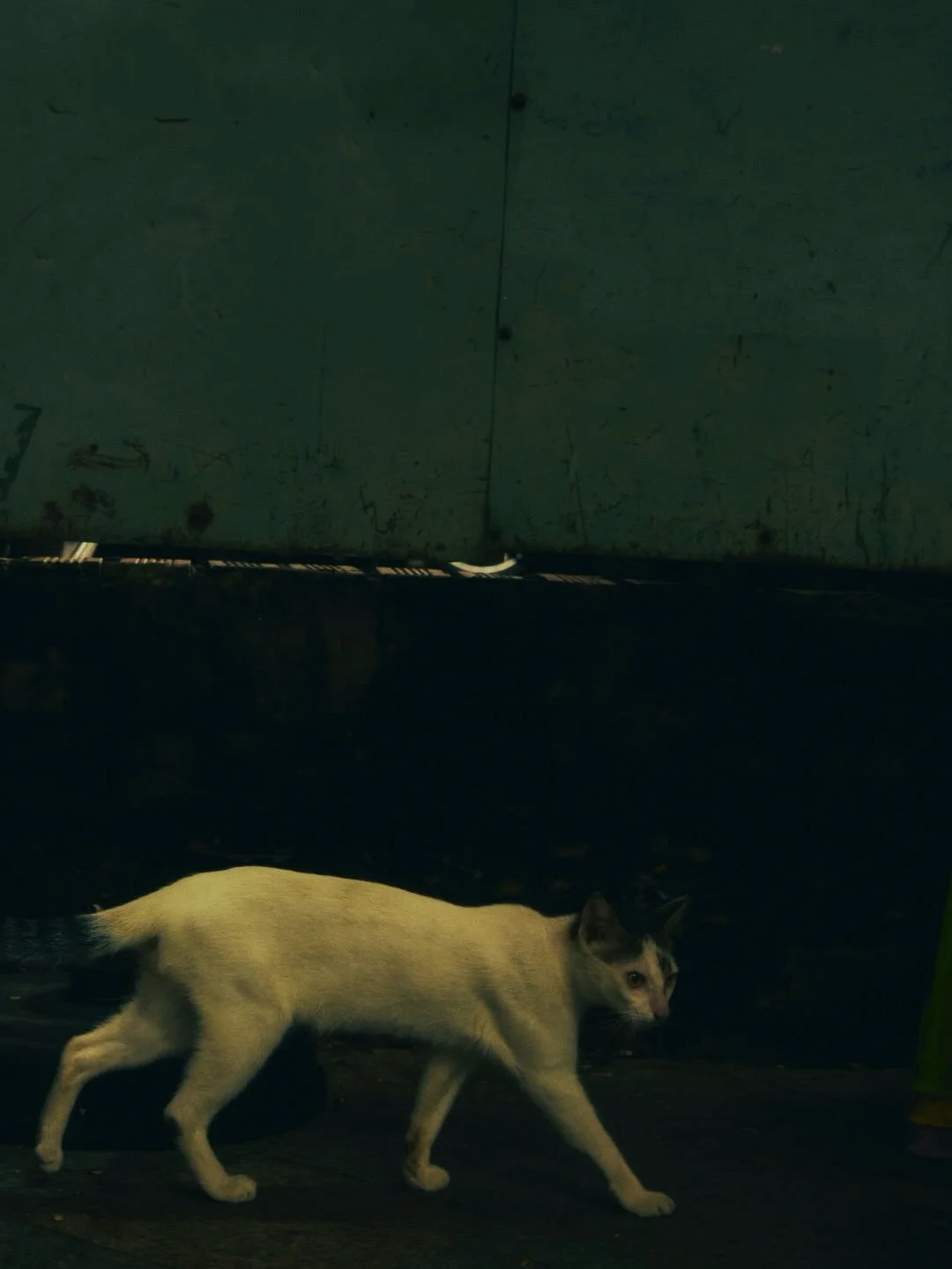 Vlada

Photographer: @willrbphoto
Stylist: @sarahtalaj
H+M: @makeupolesyalun
Model: @vladosssha @newlevelmgm