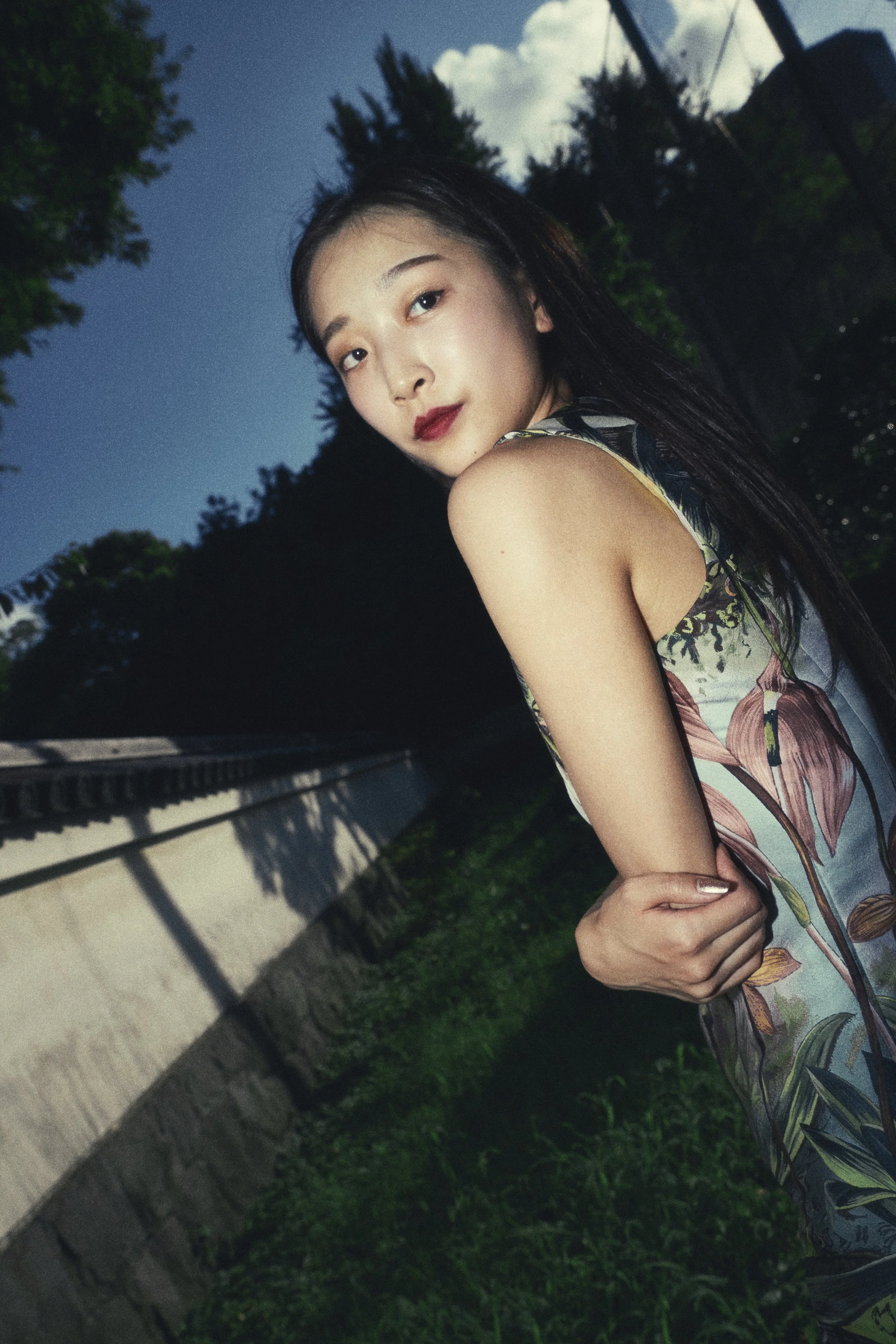 A young woman with long dark hair wearing a sleeveless, patterned dress stands outdoors at dusk, with trees, a fence, and a darkening sky in the background.