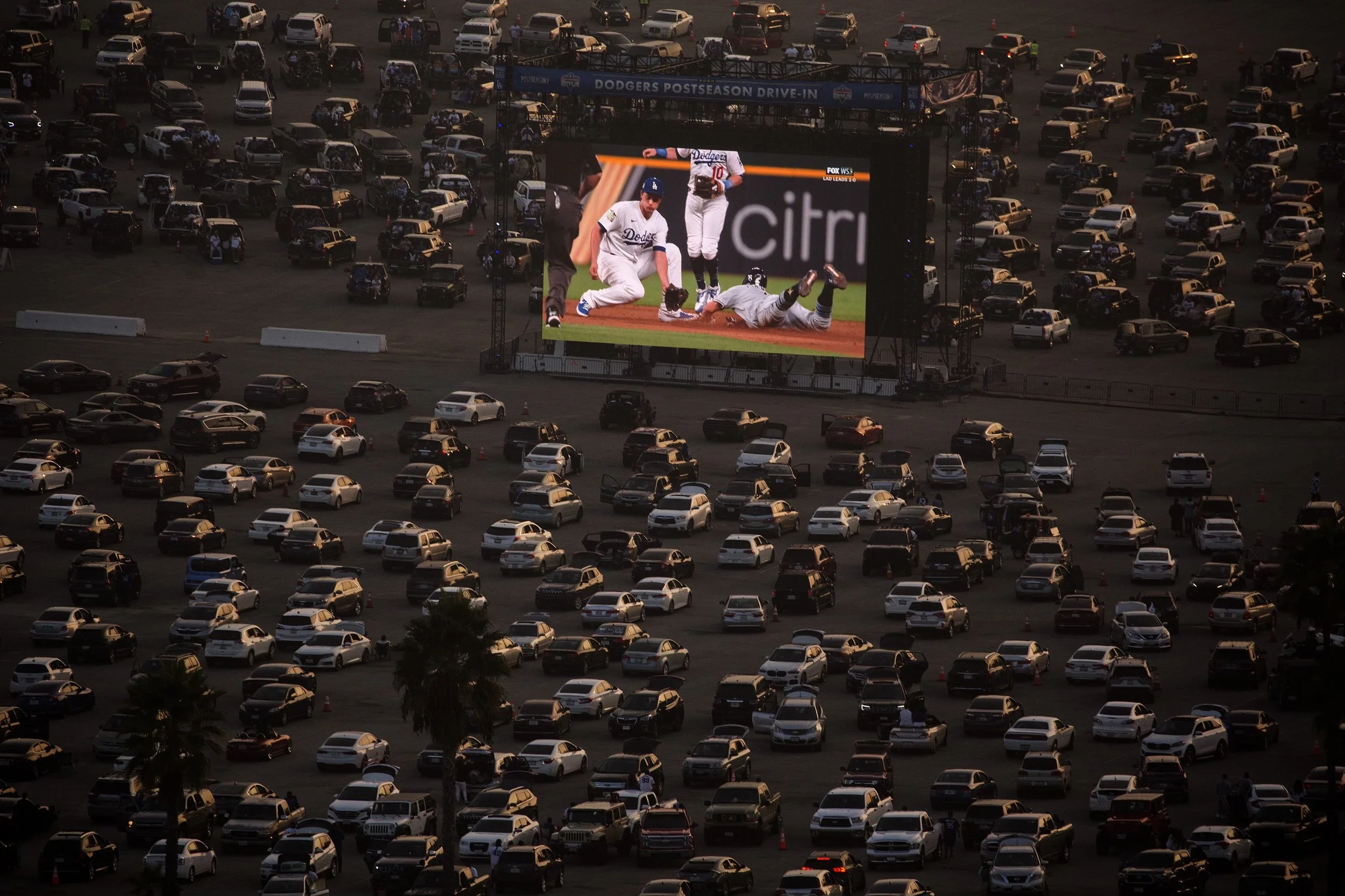 Ringo_JPEG image 2.jpeg