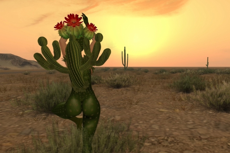 Dusty Shores &amp; the Desert Dryad