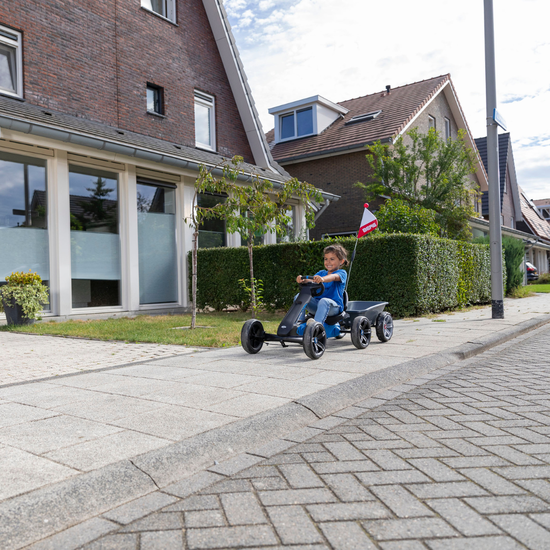 BERG Reppy Roadster_2.png