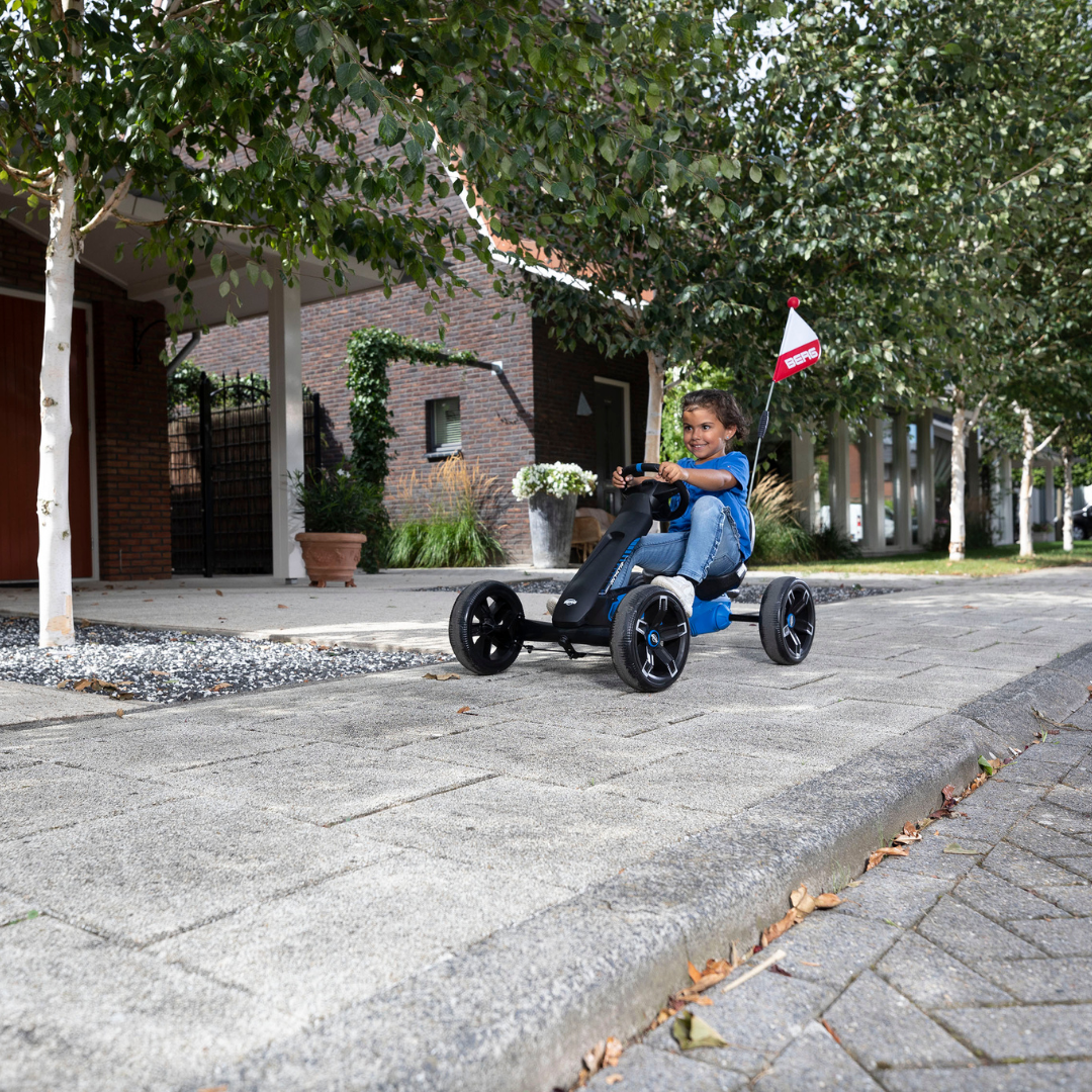 BERG Reppy Roadster_1.png