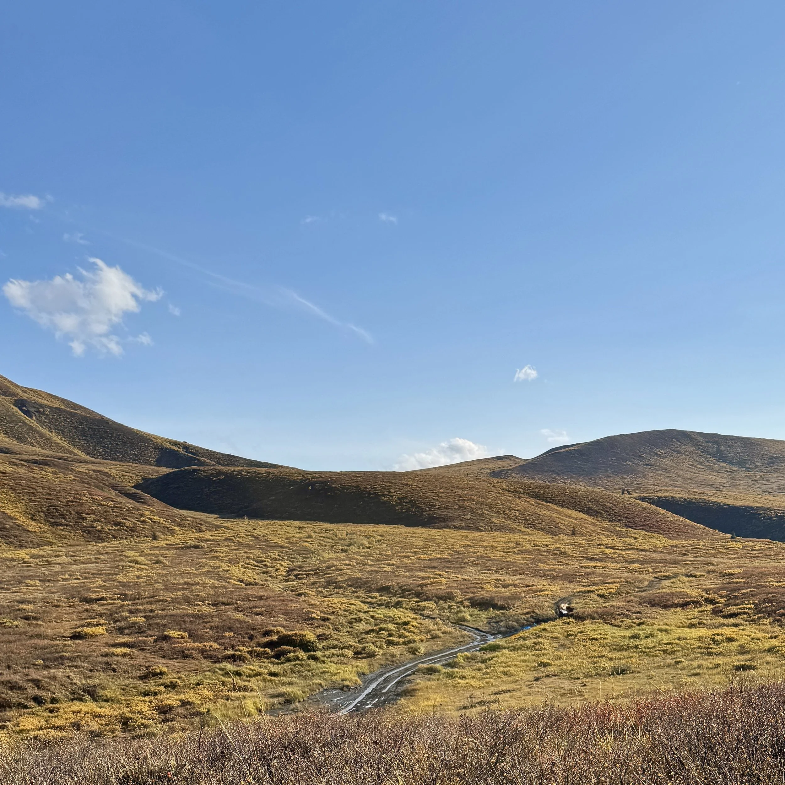 A New Season at Wellspring