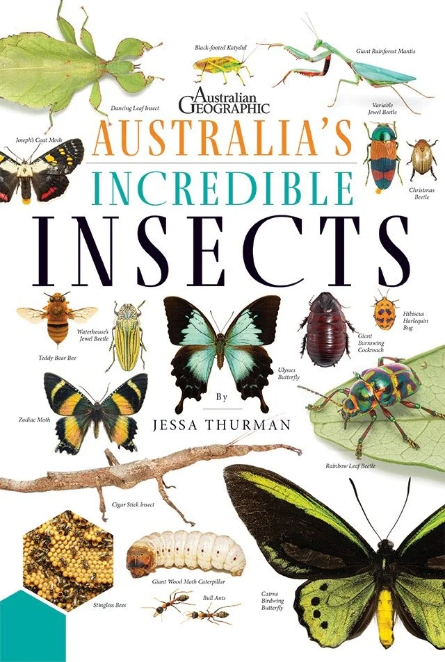 Insects_cover.JPG