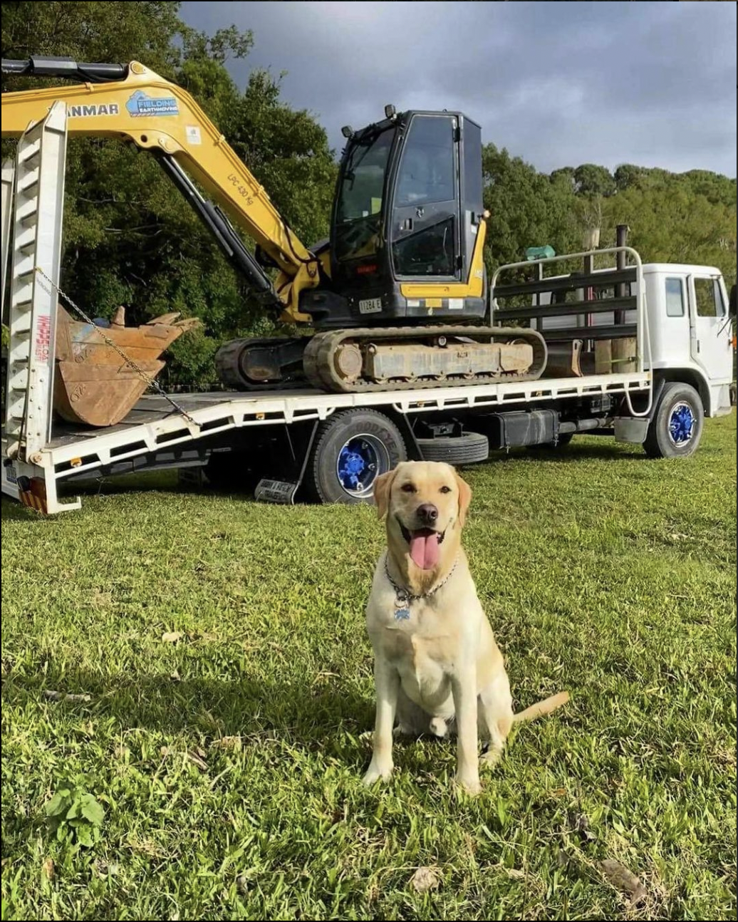Fielding Earthmoving services page featuring company dog on site in Tweed Heads