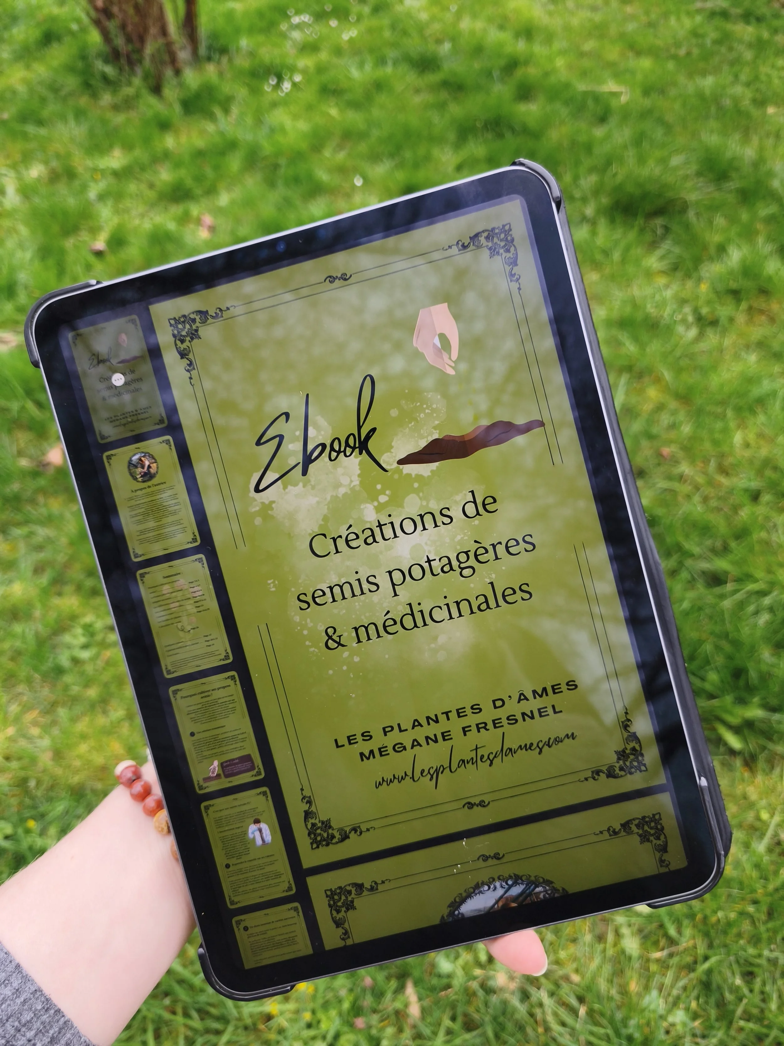 Ebook "Créations de semis de plantes potagères & médicinales"