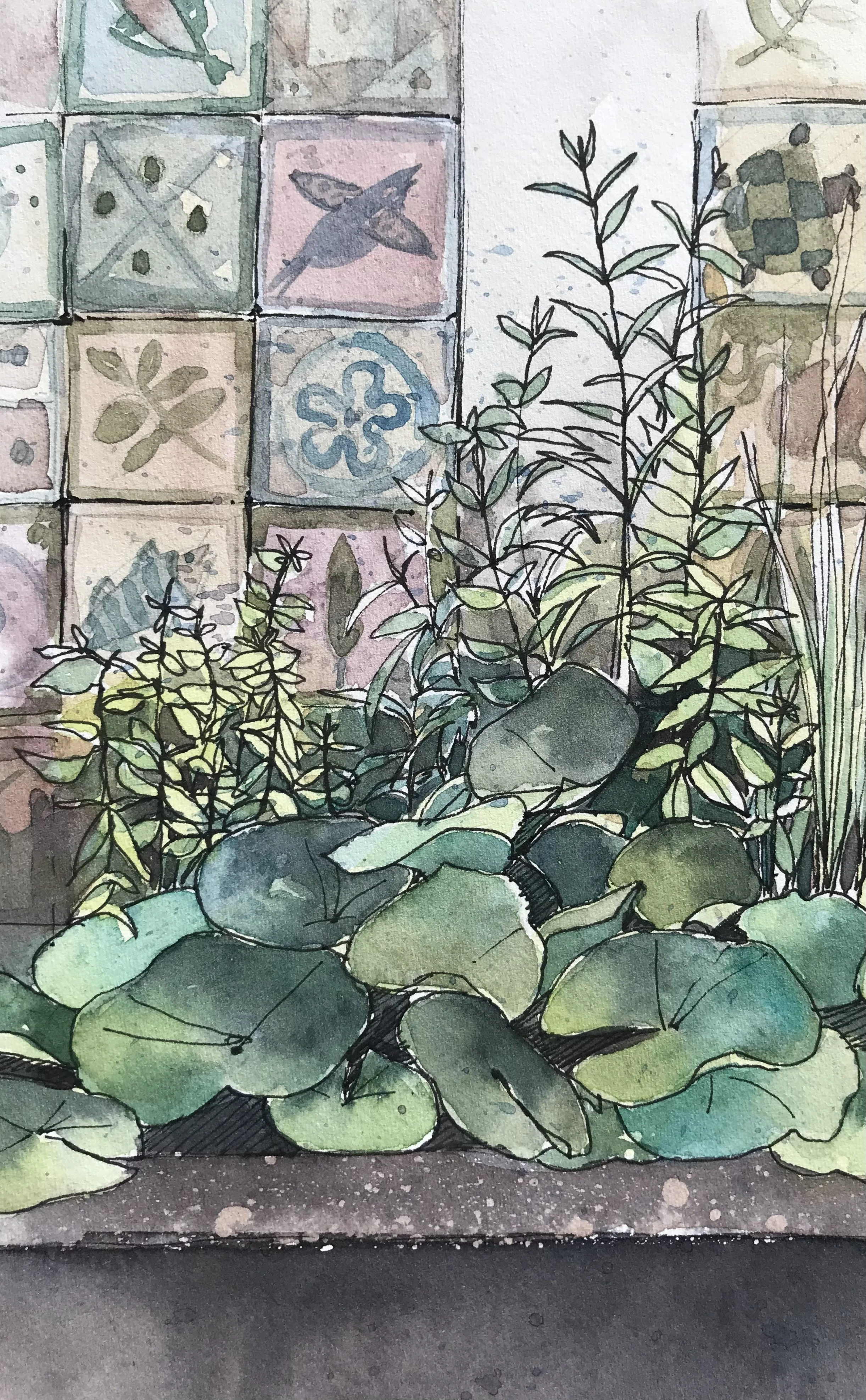 jardin medievalIMG_6473.jpeg