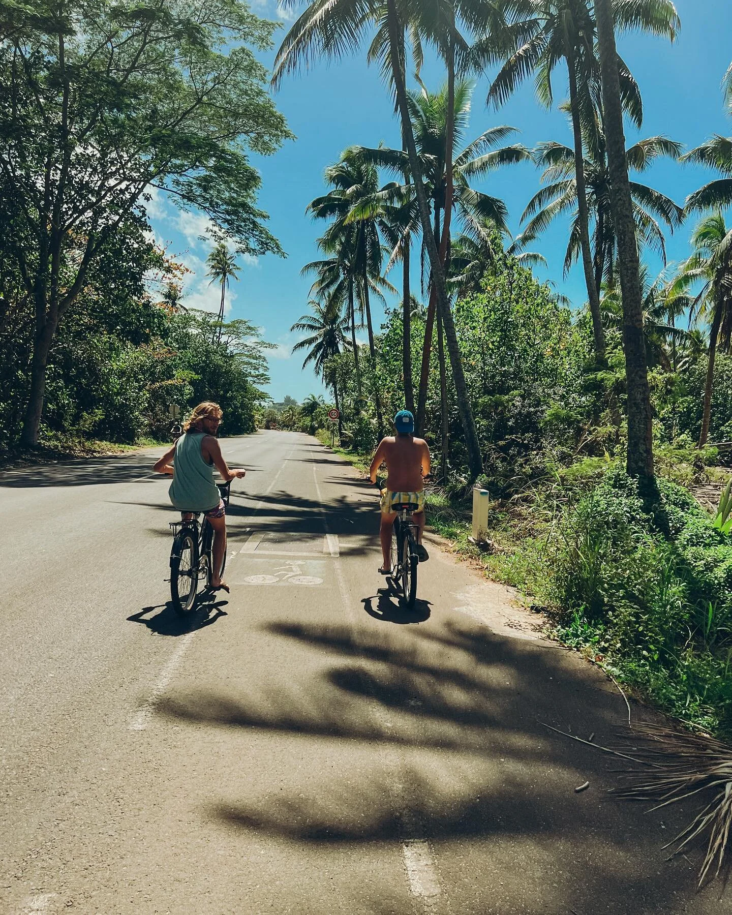 B-Roll moments from Tahiti. ✨🌋🧡🐋
