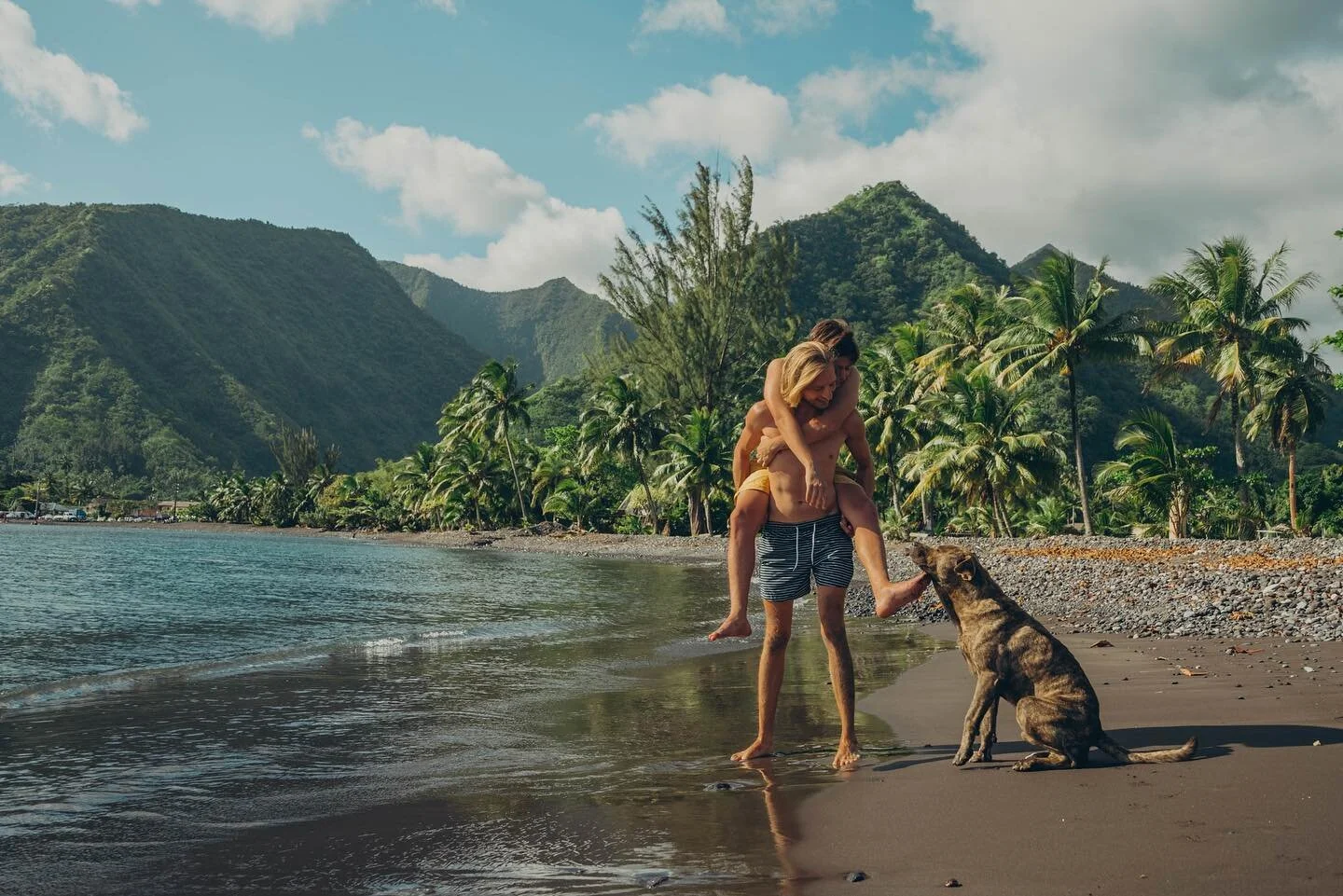 they were so happy to finally meet above the sea. all together now their lava grew and grew. 🌋🧡