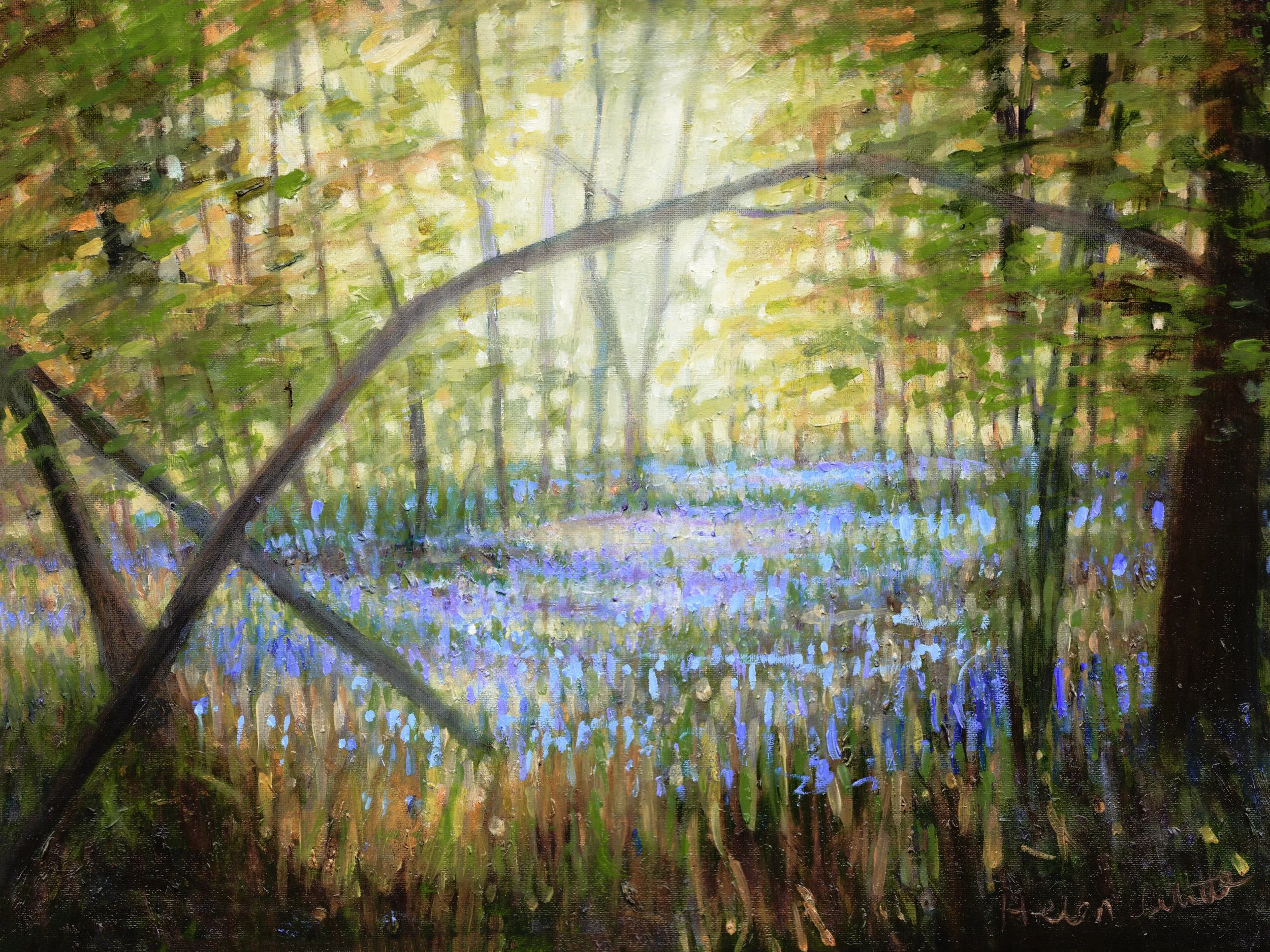 The Bluebell Glade, 2024, oil on canvas